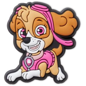 Paw Patrol Skye - UNIQUE