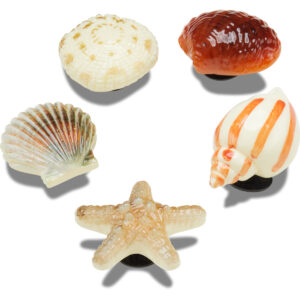 She Sells Seashells 5 Pack -