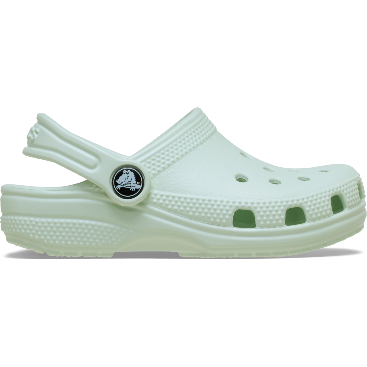 Classic Clog T - Mint Tint